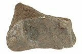 Canyon Diablo Iron Meteorite ( g) - Arizona #270677-1